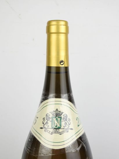 1 Magnum HERMITAGE white Les Rocoules 
