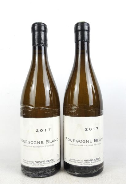 2 Bottles BOURGOGNE Blanc 