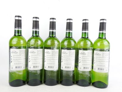 6 Bottles 
