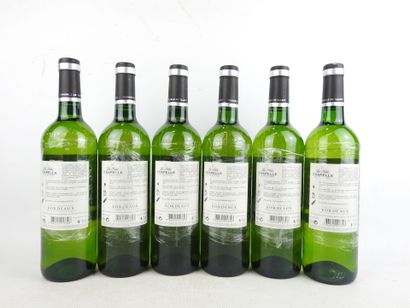 6 Bottles 