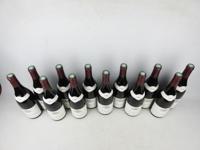12 bottles SANTENAY Louis Duchemin 1990