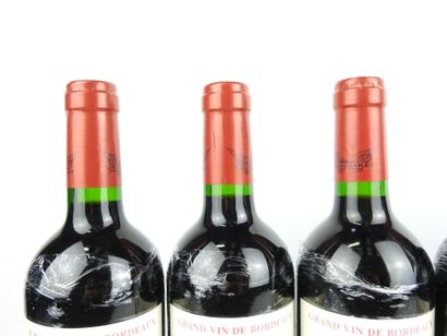 6 Bottles BLAYE 