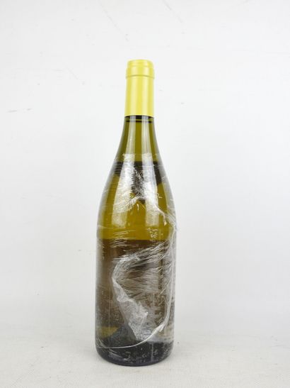 1 Bottle 