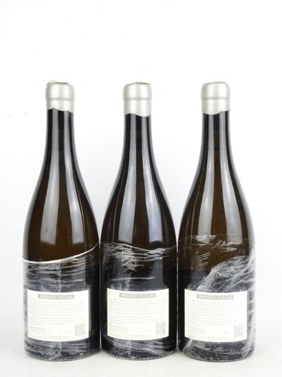 3 Bottles CHASSAGNE MONTRACHET VILLAGE, white...