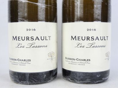 2 Bottles MEURSAULT Les Tessons 