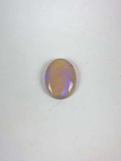 Opale cristal ovale en cabochon sur papi...