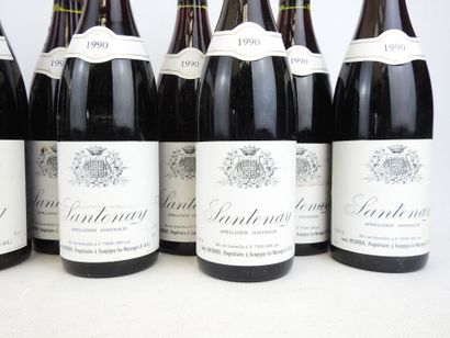 12 bottles SANTENAY Louis Duchemin 1990
