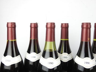 12 bottles SANTENAY Louis Duchemin 1990