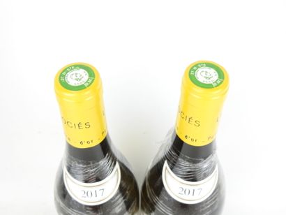 2 Bottles Auxey Duresses 