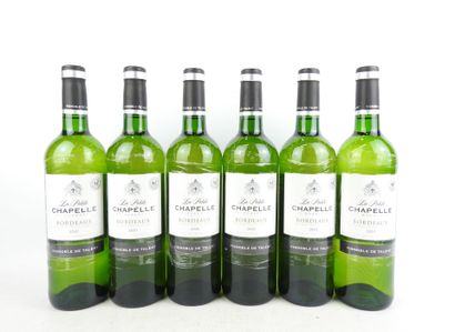 6 Bottles 