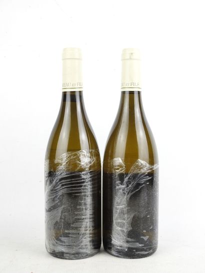 2 Bottles MERSAULT Les Tessons 