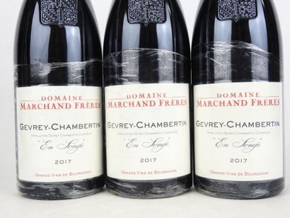 3 Bottles Gevrey-Chambertin En Songe 