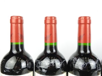 6 Bottles BLAYE COTE DE BORDEAUX 