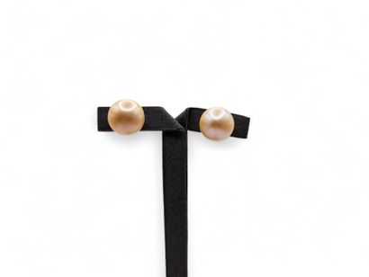 Pair of 585 thousandths yellow gold stud...