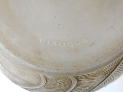 R. LALIQUE - France
Feathers