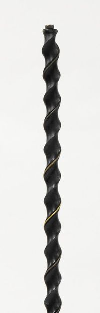 Wrought-iron floor lamp with twisted shaft,...