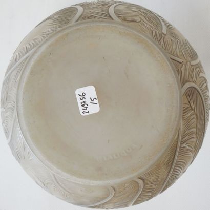 R. LALIQUE - France
Feathers