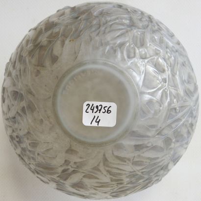 R. LALIQUE
Mistletoe