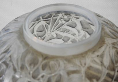 R. LALIQUE
Mistletoe