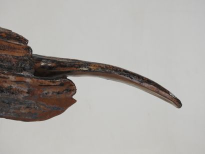 Jean MAYODON (1893-1967) attributed to
Cockatoo
Earthenware...