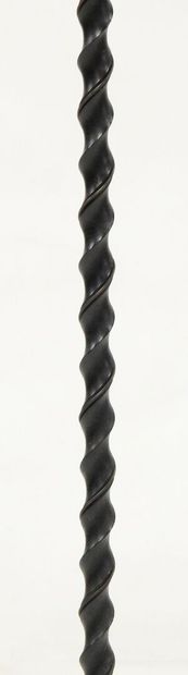 Wrought-iron floor lamp with twisted shaft,...