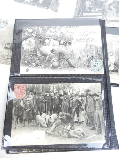 MISCELLANEOUS: 26 postcards from various...