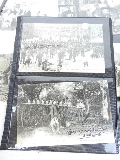 MISCELLANEOUS: 26 postcards from various...