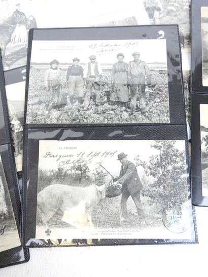 MISCELLANEOUS: 26 postcards from various...