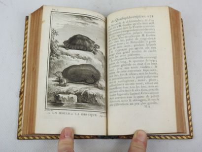 BUFFON. Histoire Naturelle. Paris, Imprimerie...