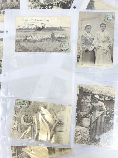 BLOIS - SOLOGNE: 90 postcards of the city...