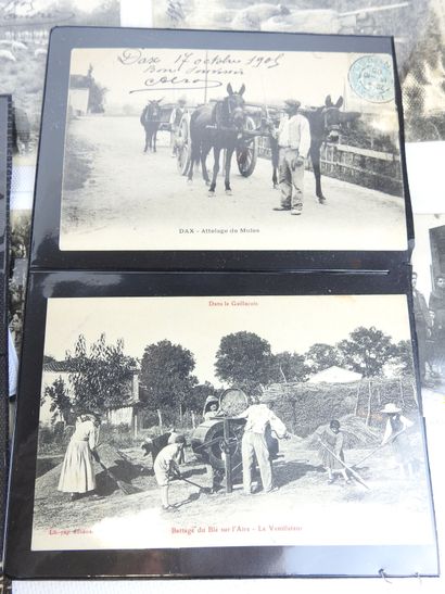 MISCELLANEOUS: 26 postcards from various...