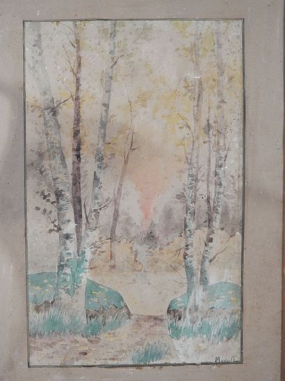 S. TOBIEMIO (20th). Nature landscape with...