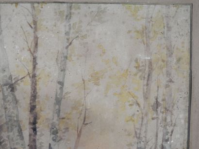 S. TOBIEMIO (20th). Nature landscape with...
