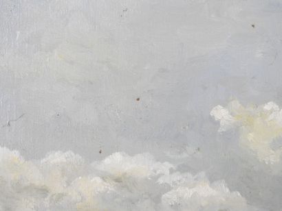 S. TOBIEMIO (20th). Nature landscape with...