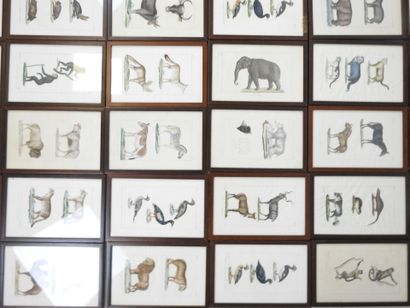 54 encadrés contenant des planches gravées...