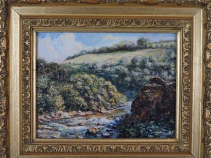 Jerzy MOSCICKI (1954) : Vue du ruisseau....