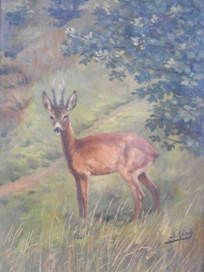 J. KONIG (20th). Deer. Oil on canvas. Signed...