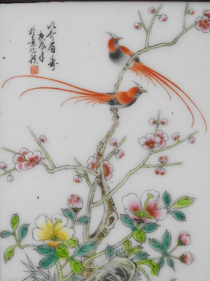 CHINE XXe. Oiseaux branchés. Peinture sur...