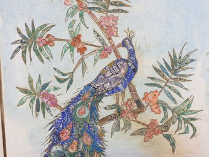 INDE : Reproduction d'une miniature. 21 x...