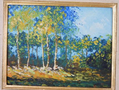 Ecole du XXème siècle : Paysages. Deux huiles...