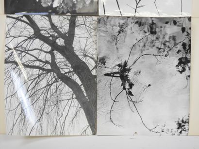 Quatorze photographies représentant des paysages...