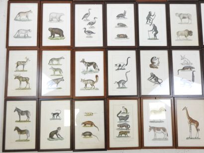 54 encadrés contenant des planches gravées...