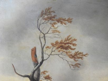 Ecole du XIXème siècle : Marine par temps...