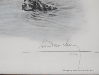 Léon DANCHIN (1887-1938), after. Study of...