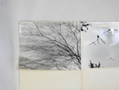 Quatorze photographies représentant des paysages...