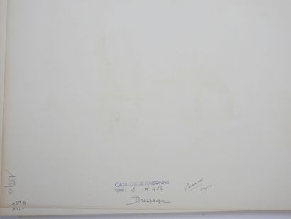 Roland CHANCO (1914-2017): Dressage. Dessin...