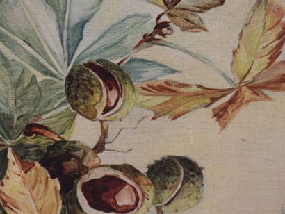 RENEE (XXe) : Fleurs. Deux huiles sur toile...
