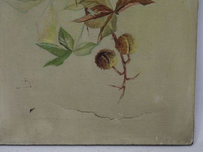 RENEE (XXe) : Fleurs. Deux huiles sur toile...