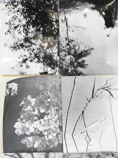 Quatorze photographies représentant des paysages...