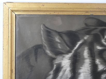 20th century FRENCH school. Tiger head. Charcoal...